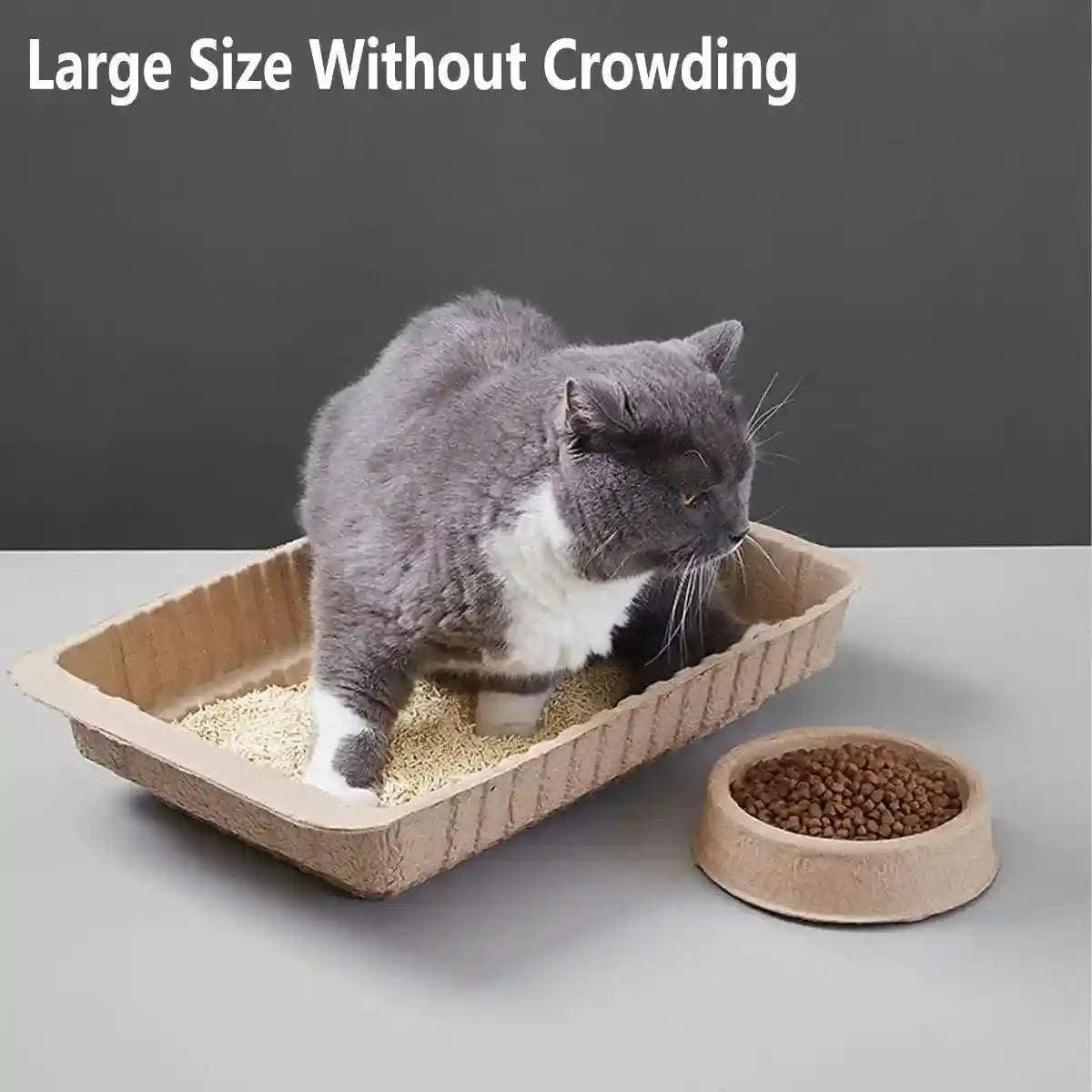 Eco-Friendly Cat Set with Disposable Litter Tray and Feeding Bowls