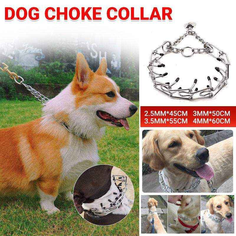 Adjustable Chain Dog Collar for Training & Control