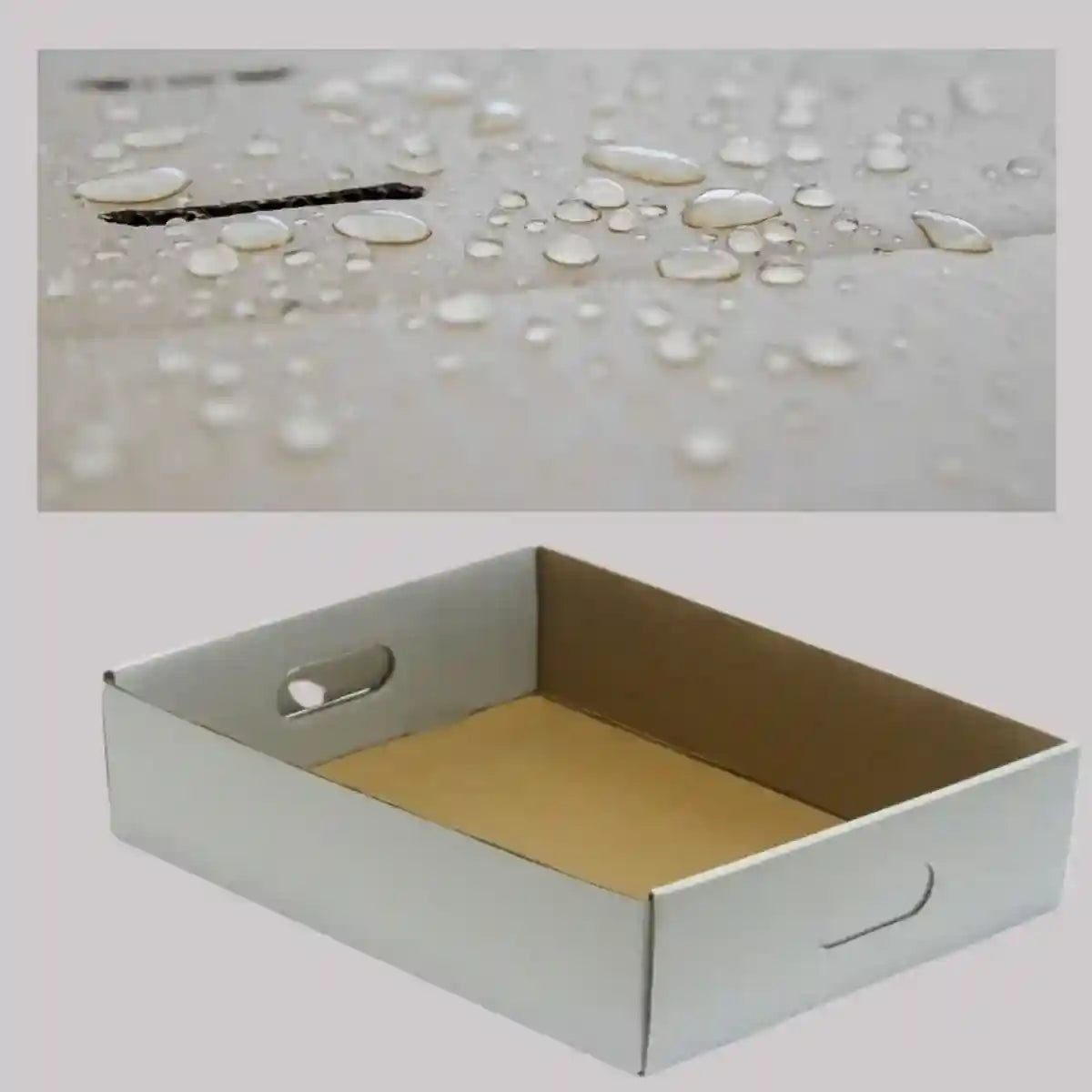 5PCS Foldable Disposable Cat Litter Boxes Waterproof Cardboard Design