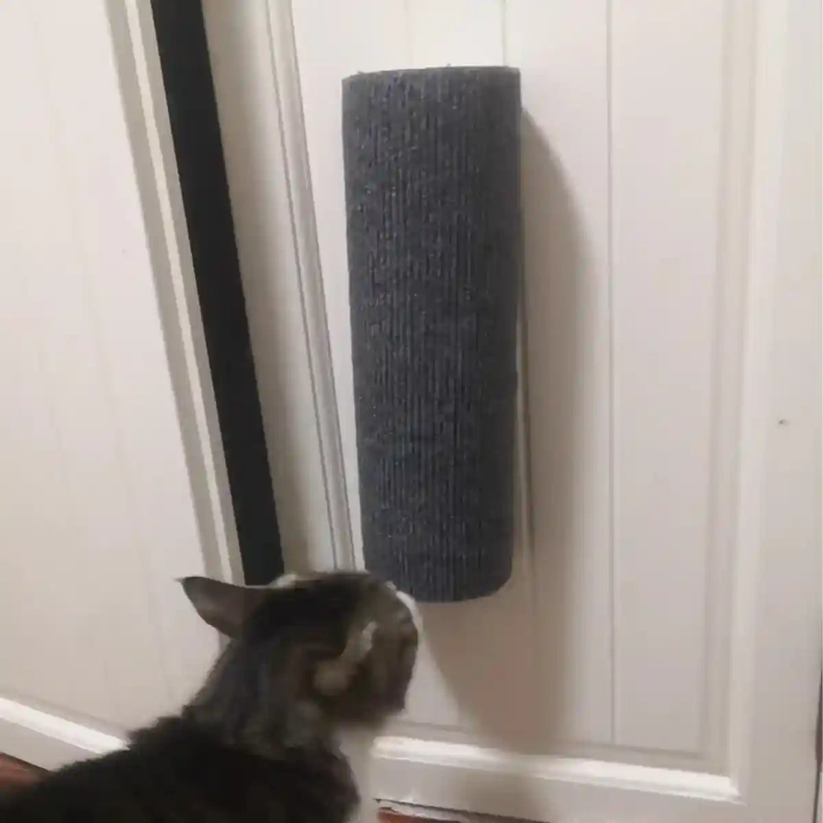 Self-Adhesive Cat Scratching Posts for Wall Cylindrical Climbing Set