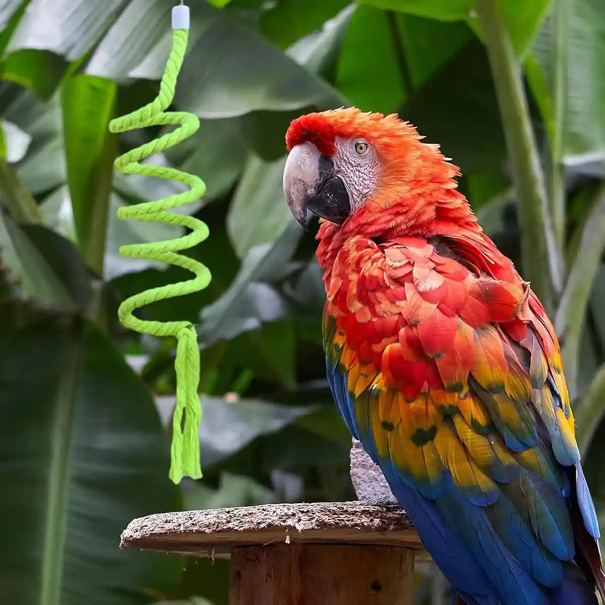 Spiral Cotton Rope Bird Climbing Toy With Hook 150cm