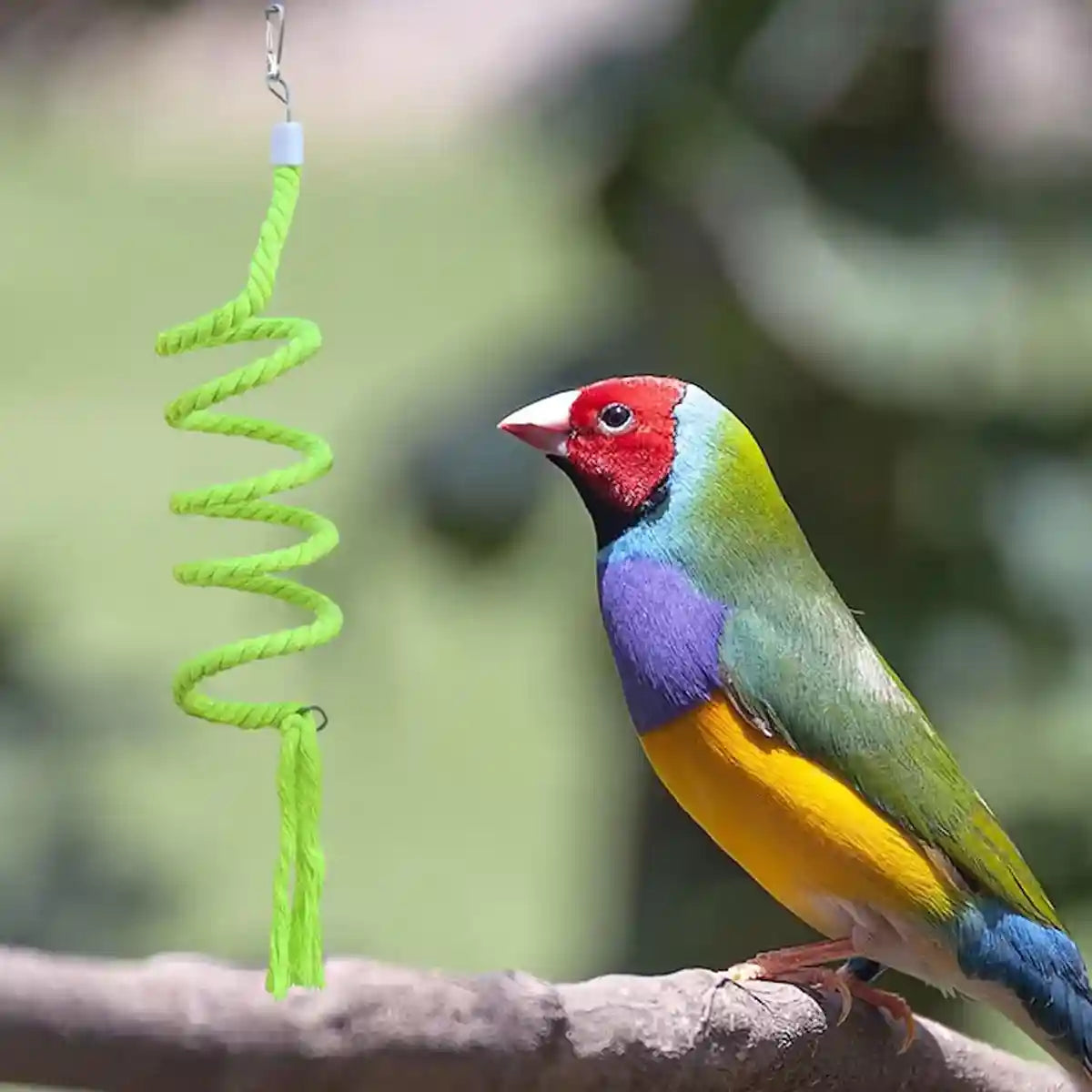 Spiral Cotton Rope Bird Climbing Toy With Hook 150cm