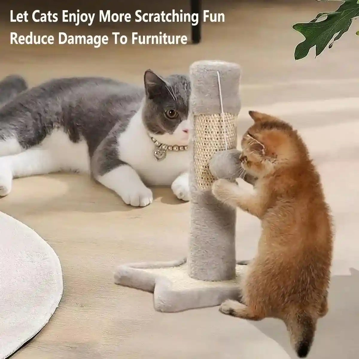 Heart & Star Cat Scratching Post