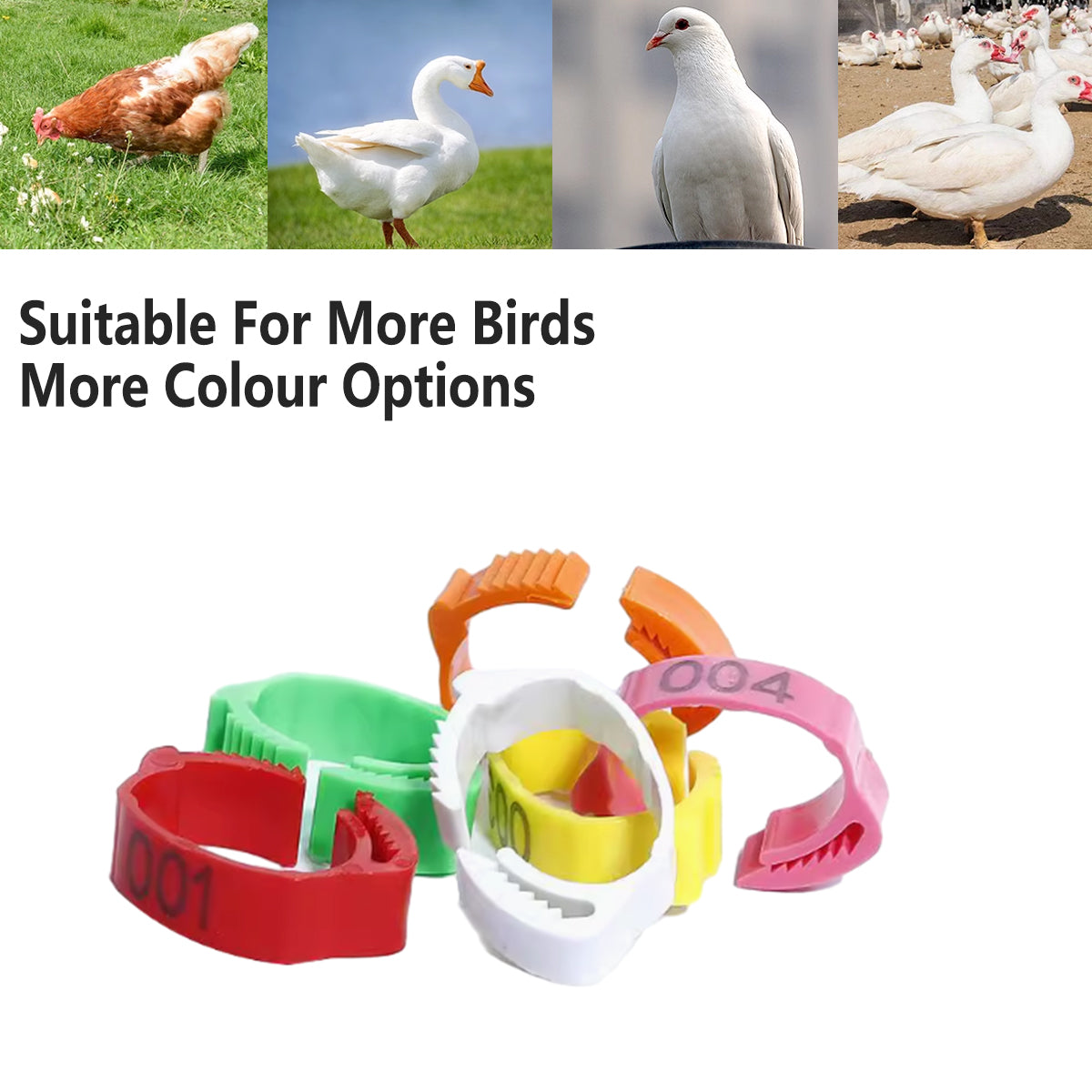 100PCS Adjustable Bird Leg Rings Numbered