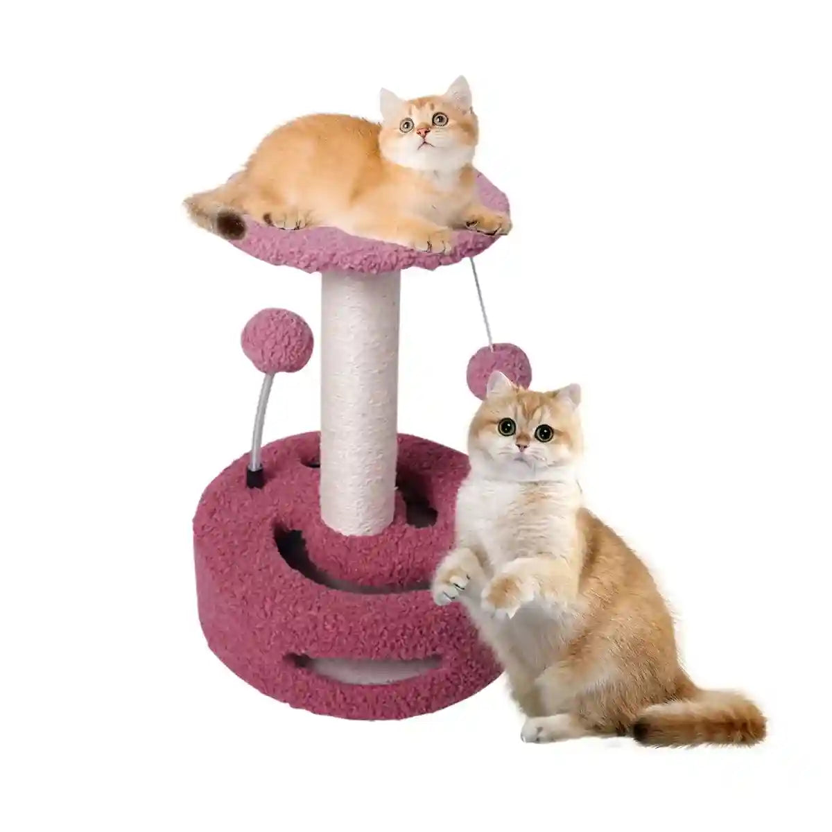 Fruit-Themed Cat Scratching Post with Toy Ball and Plush Base