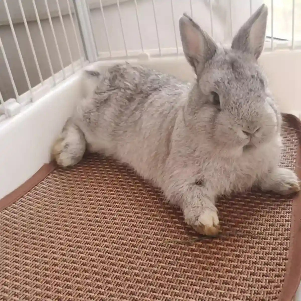 Breathable Pet Cooling Mat for Cats, Dogs & Small Animals