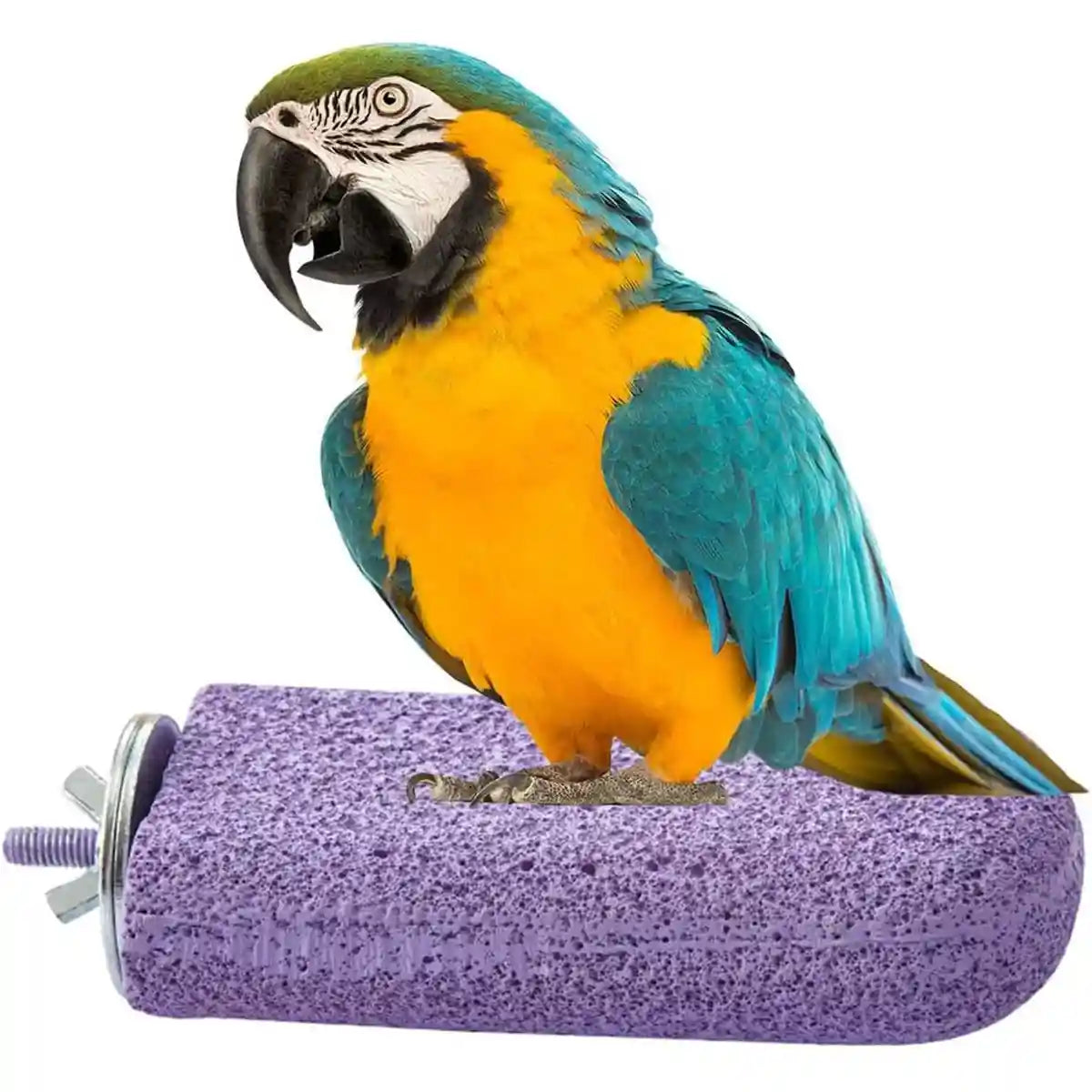 Ice Cream Resin Bird Grinding Perch for Parrots and Small Birds