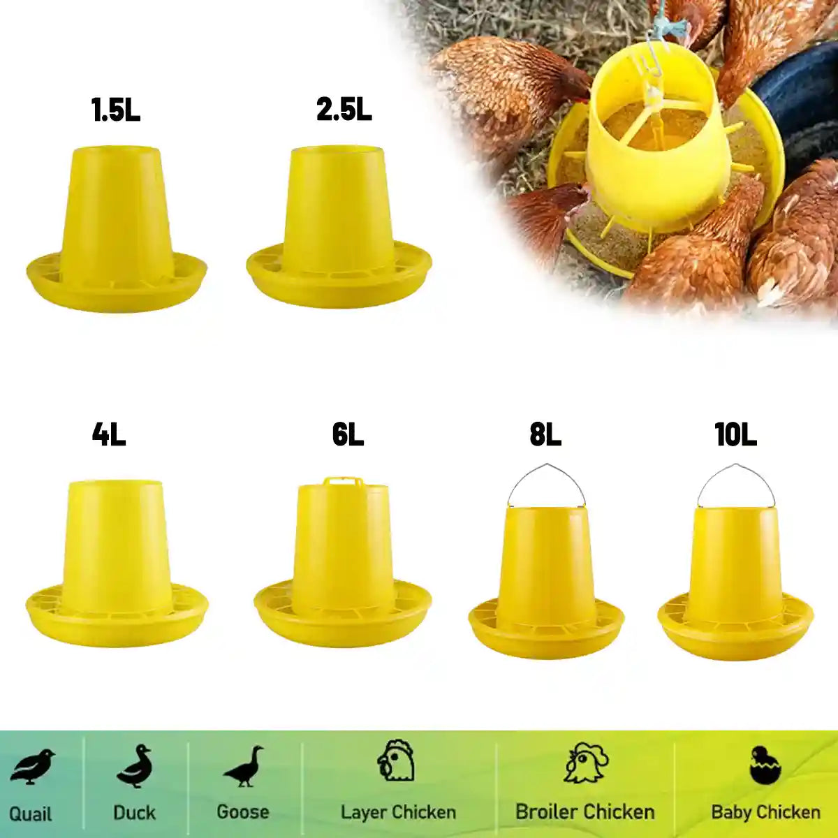 Durable Poultry Feeder Chicken & Hen Feed Dispenser (1.5L–10L)
