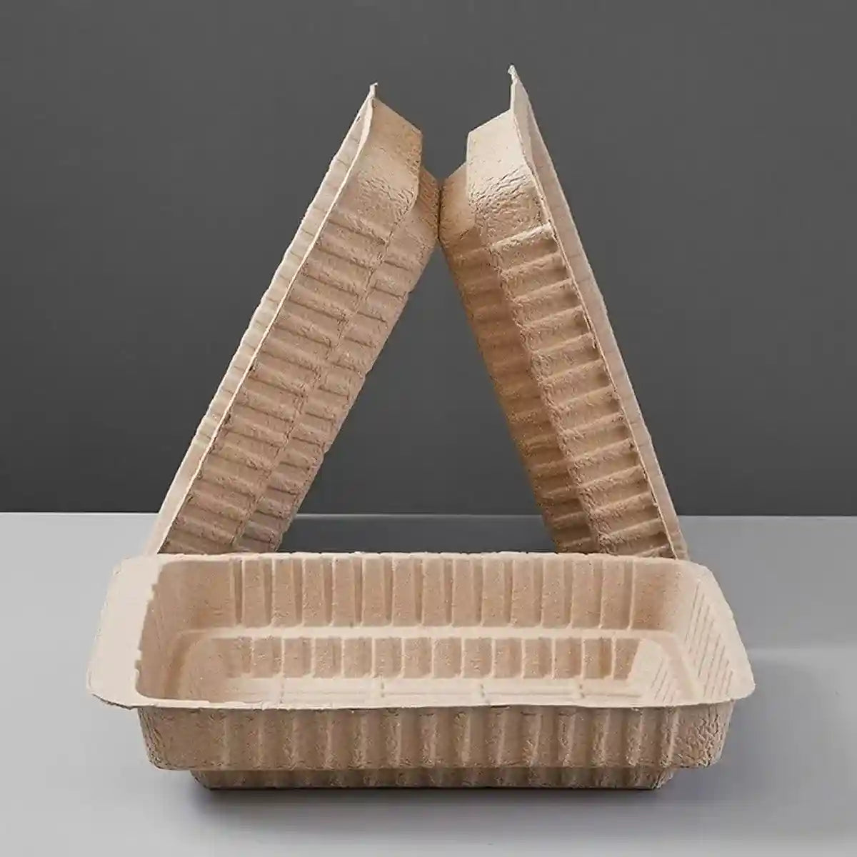 Eco-Friendly Cat Set with Disposable Litter Tray and Feeding Bowls