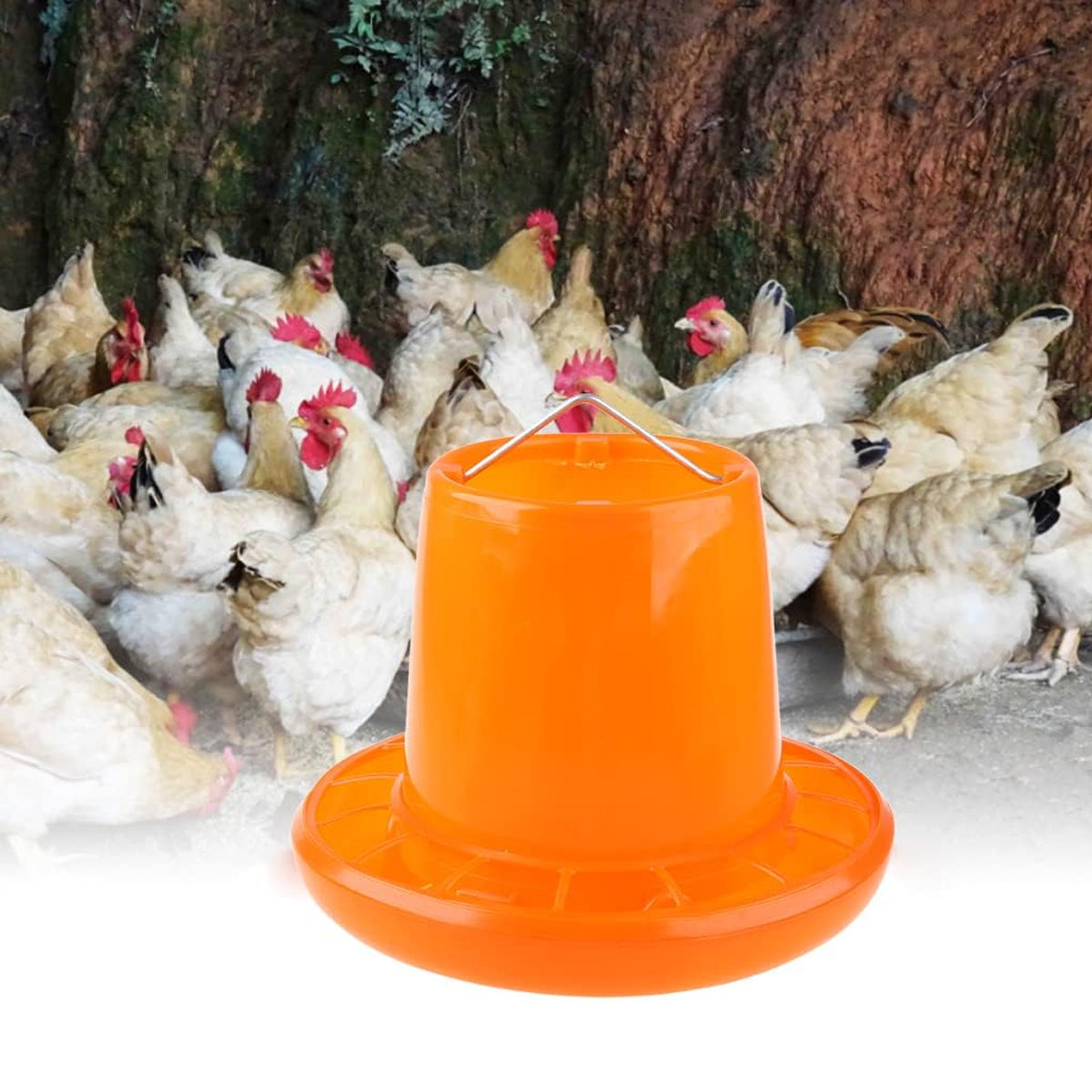 10KG Chicken Feeder Pail With Steel Handle