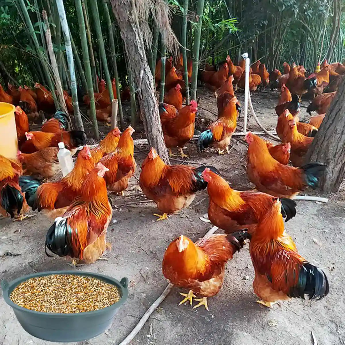 Heavy-Duty Rubber Farming Trough Basin 6PCS Set