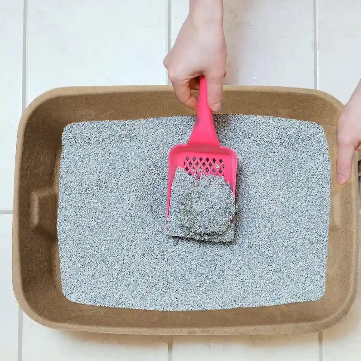 10PCS Disposable Cat Litter Boxes Biodegradable Pulp with U-Shape Entry