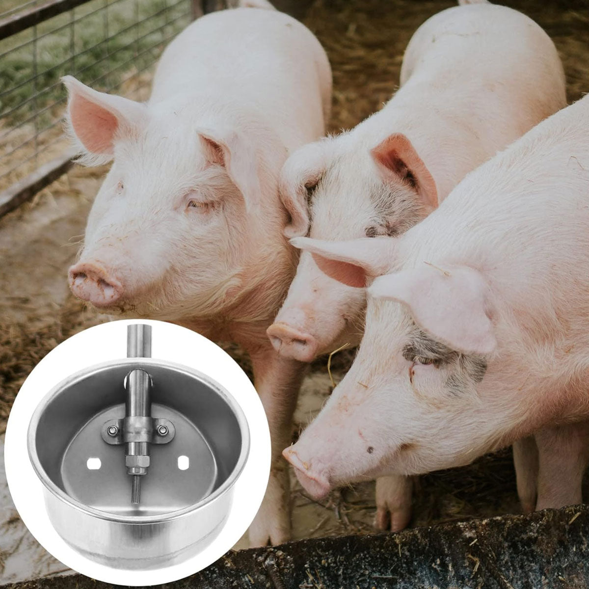 Stainless Steel Pig Drinking Bowl Automatic Refill
