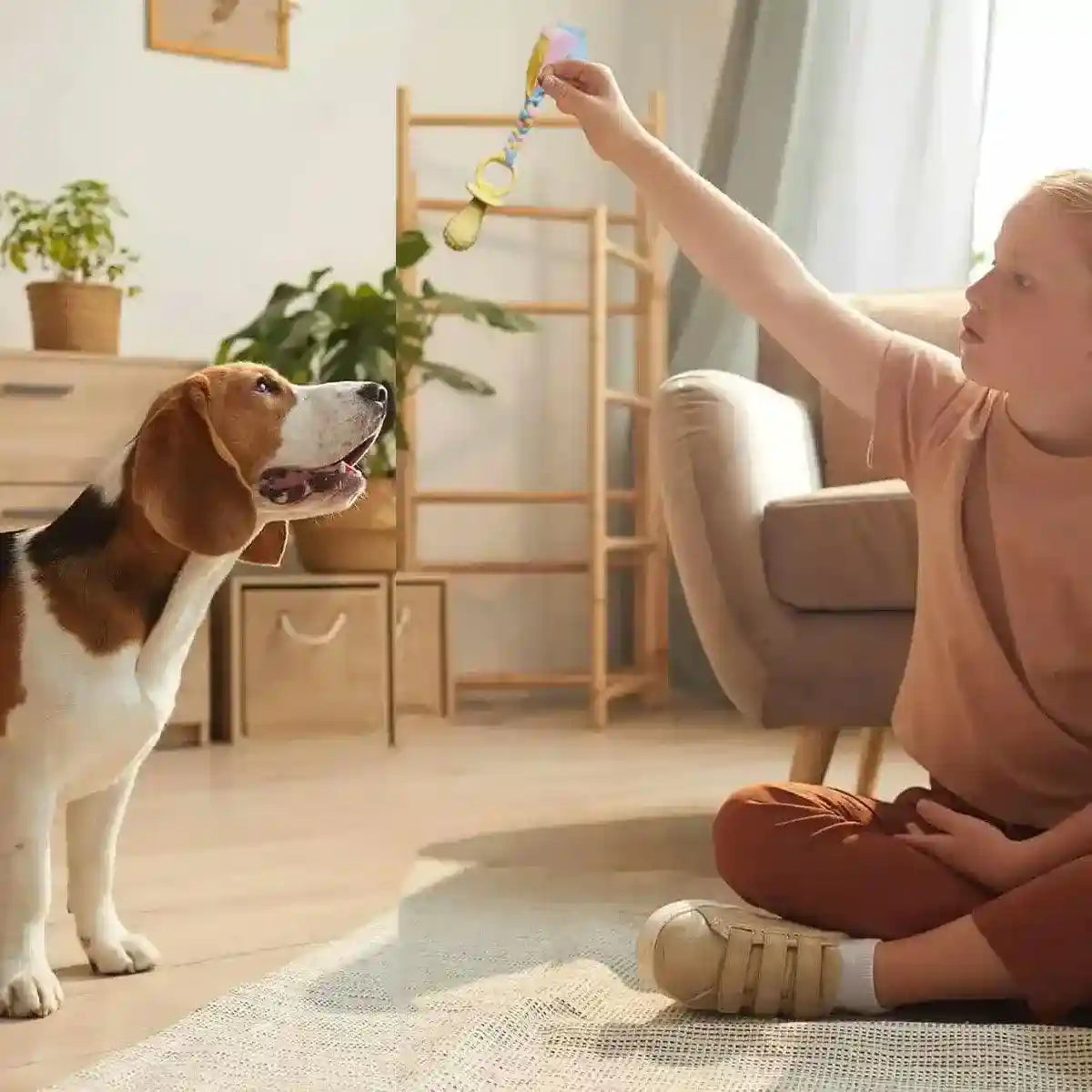 Pacifier Tug Rope Set with Dog Chew Toy for Puppies and Small Dogs