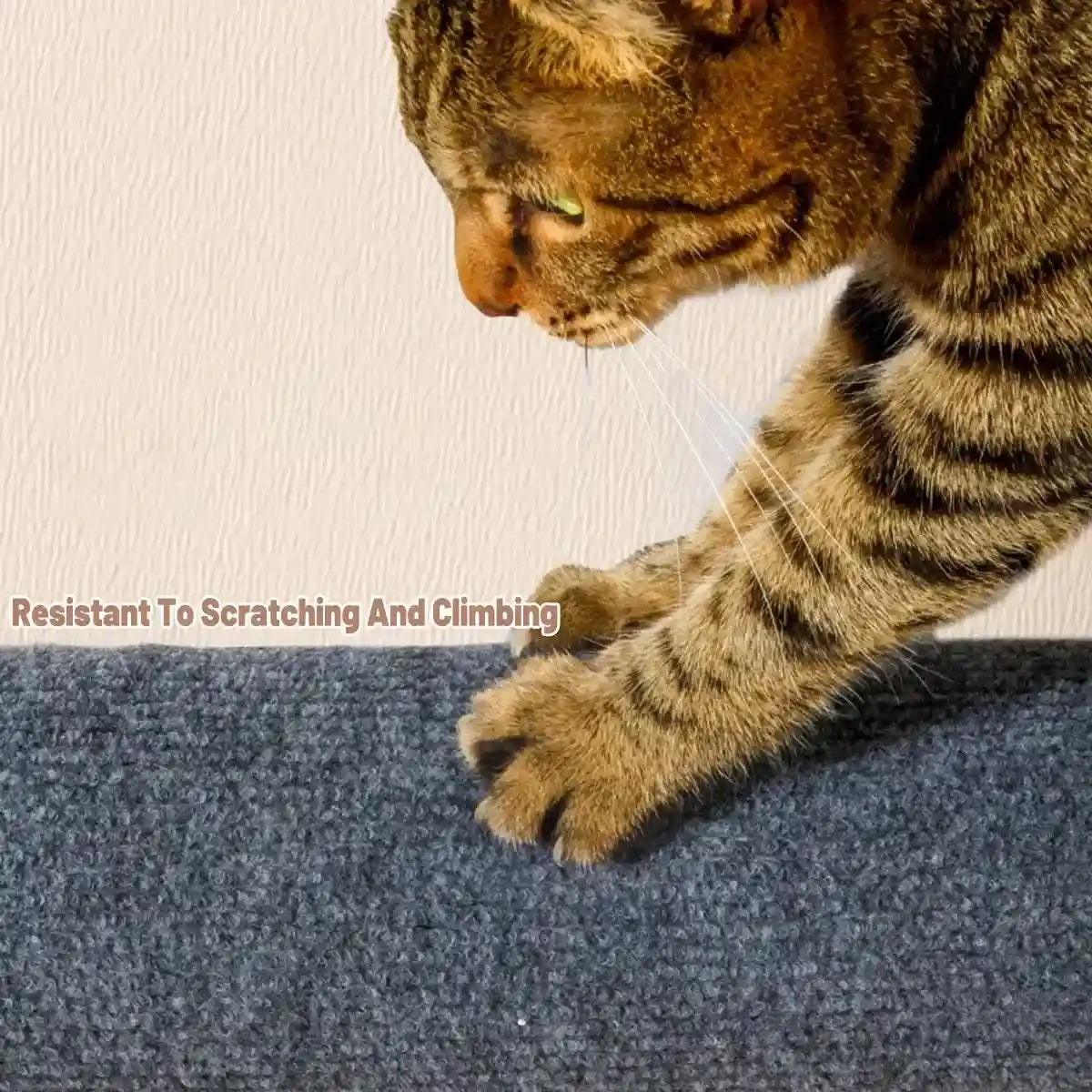 Self-Adhesive Cat Scratching Posts for Wall Cylindrical Climbing Set