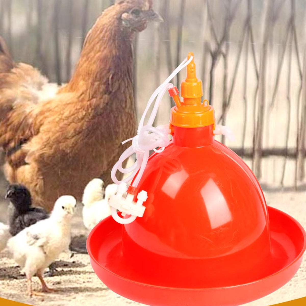 Automatic Poultry Waterer With Hose 40cm