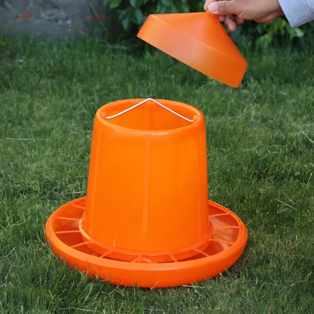 10KG Chicken Feeder Pail With Steel Handle