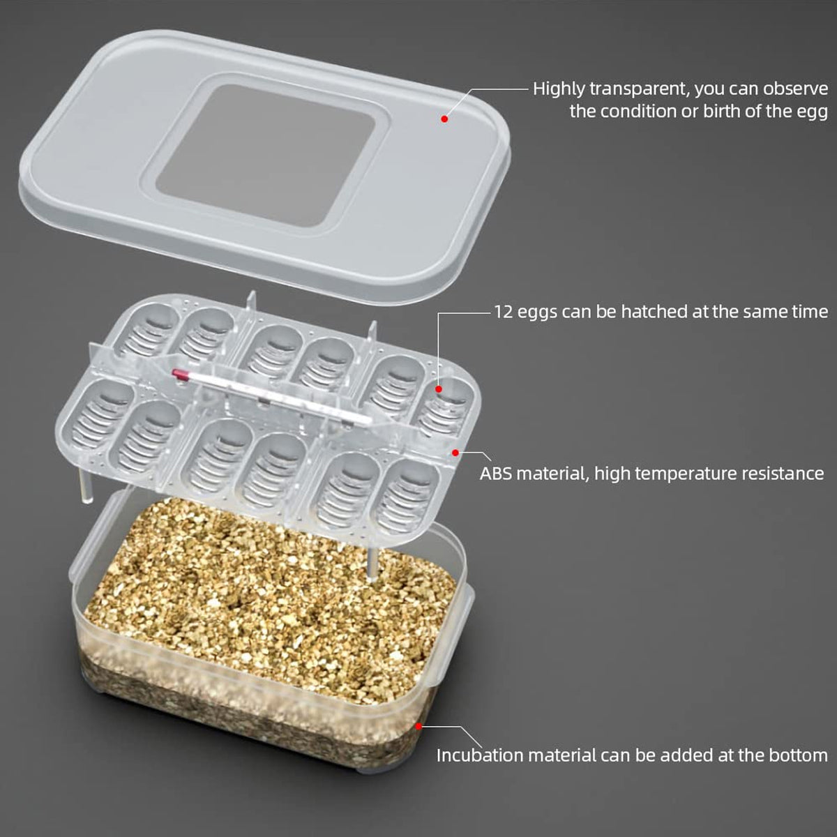 Lizard Hatching Box 12 Holes Reptile Egg Incubator