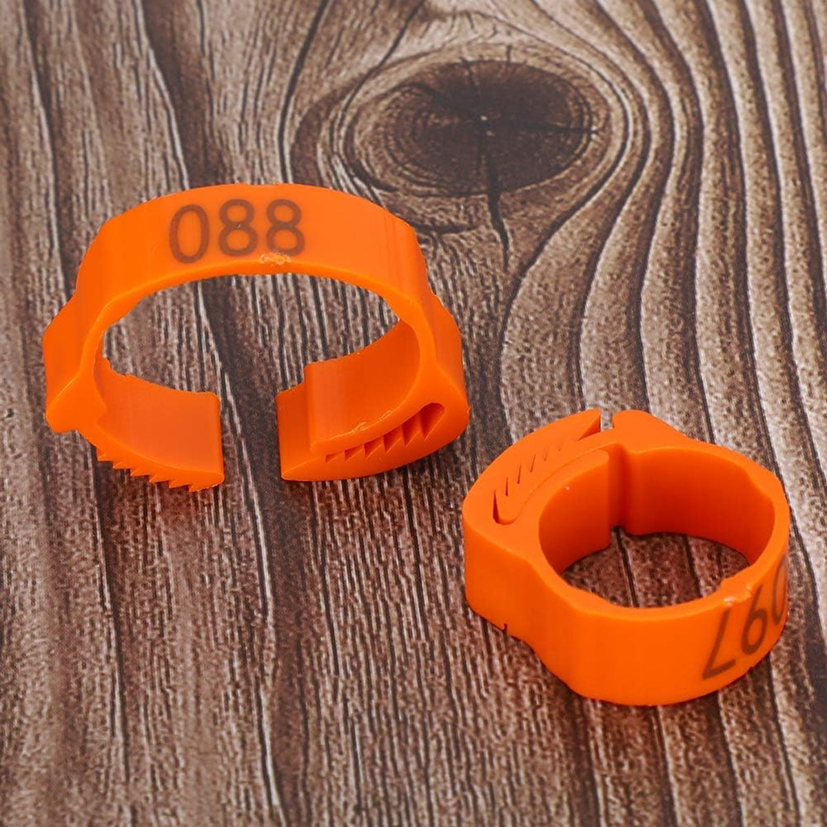 100PCS Adjustable Bird Leg Rings Numbered