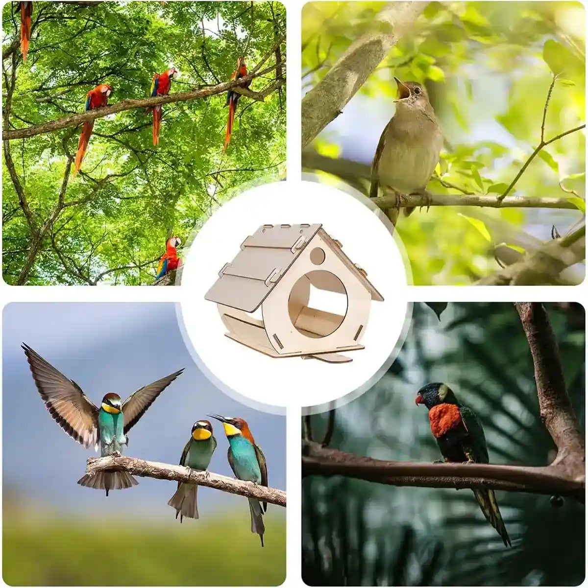 Creative DIY Garden Décor with Wooden Bird Feeder Kit