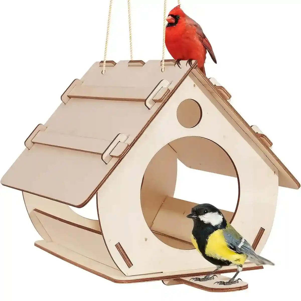 Creative DIY Garden Décor with Wooden Bird Feeder Kit