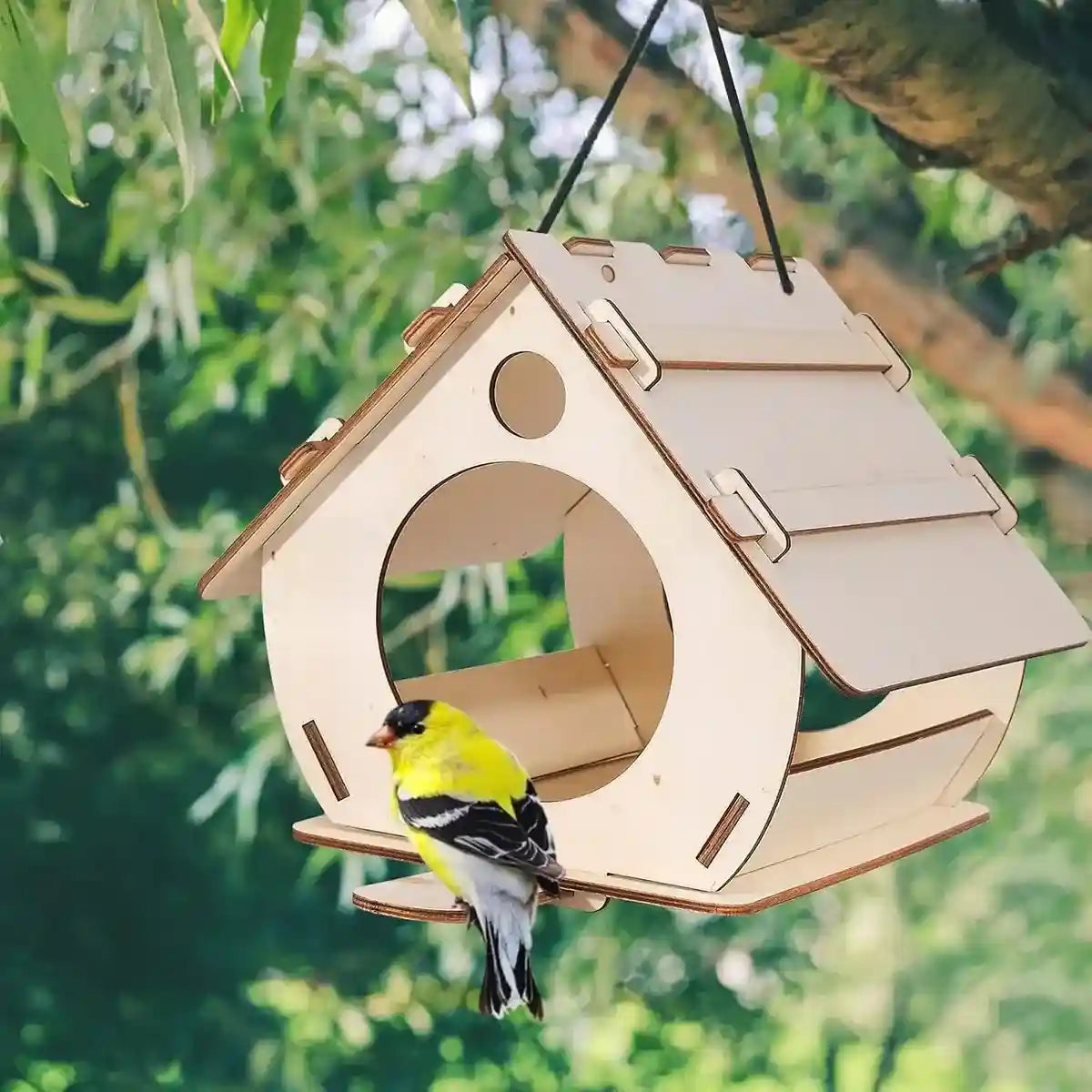 Creative DIY Garden Décor with Wooden Bird Feeder Kit