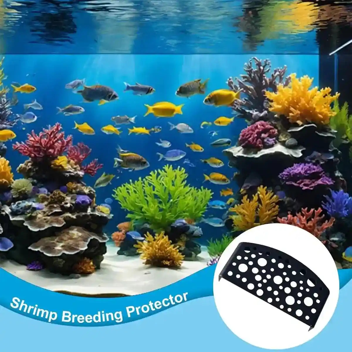 2PCS Shrimp Hiding Cave Shelters for Aquarium Breeding & Aquascaping