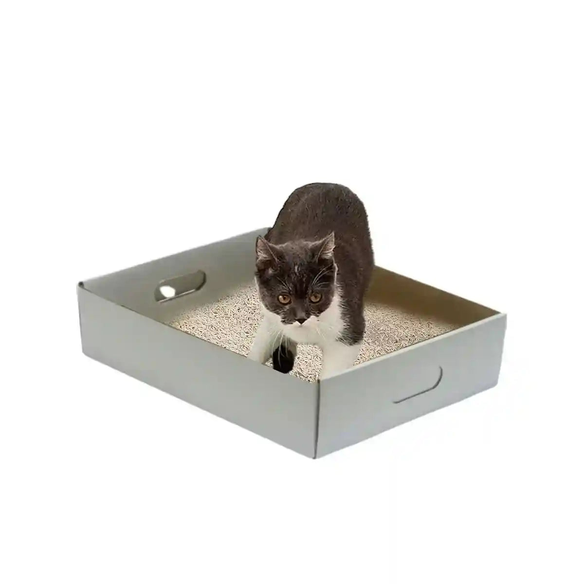 5PCS Foldable Disposable Cat Litter Boxes Waterproof Cardboard Design