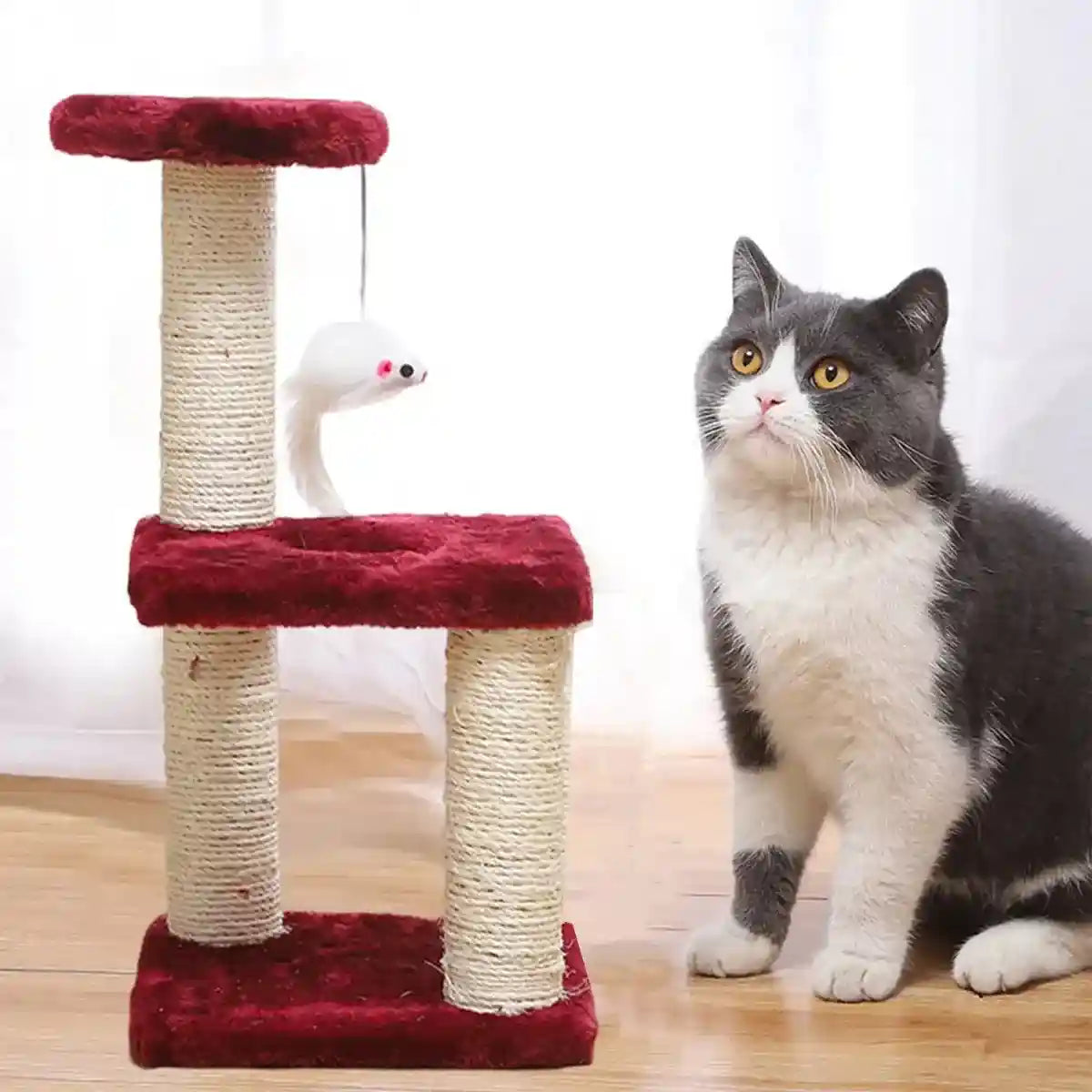 Compact Cat Climbing Post with Sisal and Hanging Toy for Kittens