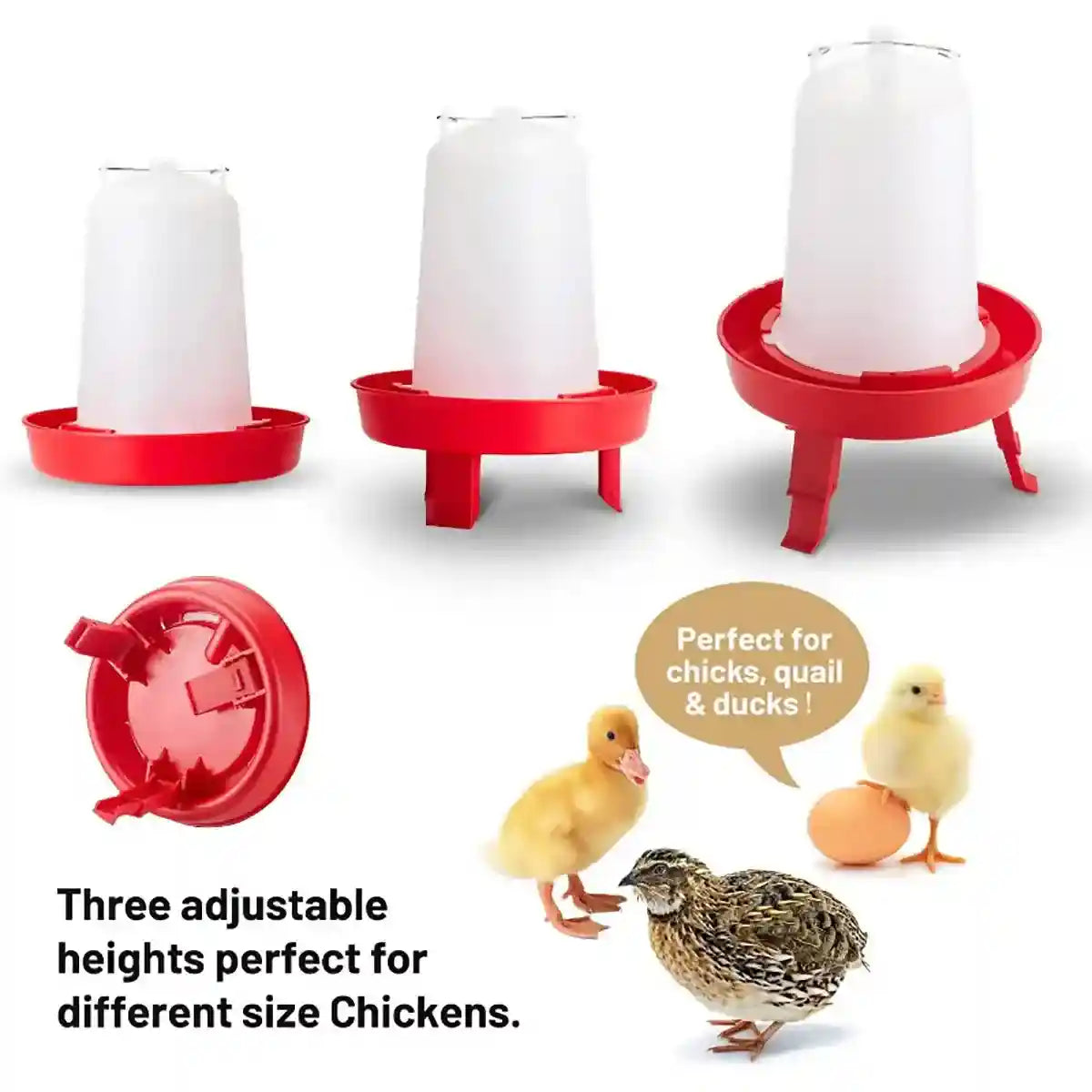 Space-Saving Chick Waterer Set with Adjustable Poultry Feeder