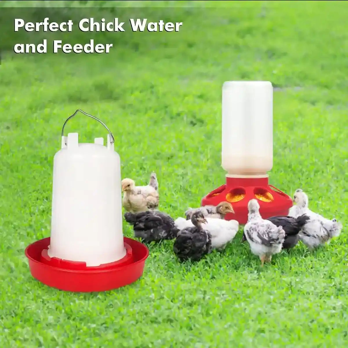 Space-Saving Chick Waterer Set with Adjustable Poultry Feeder