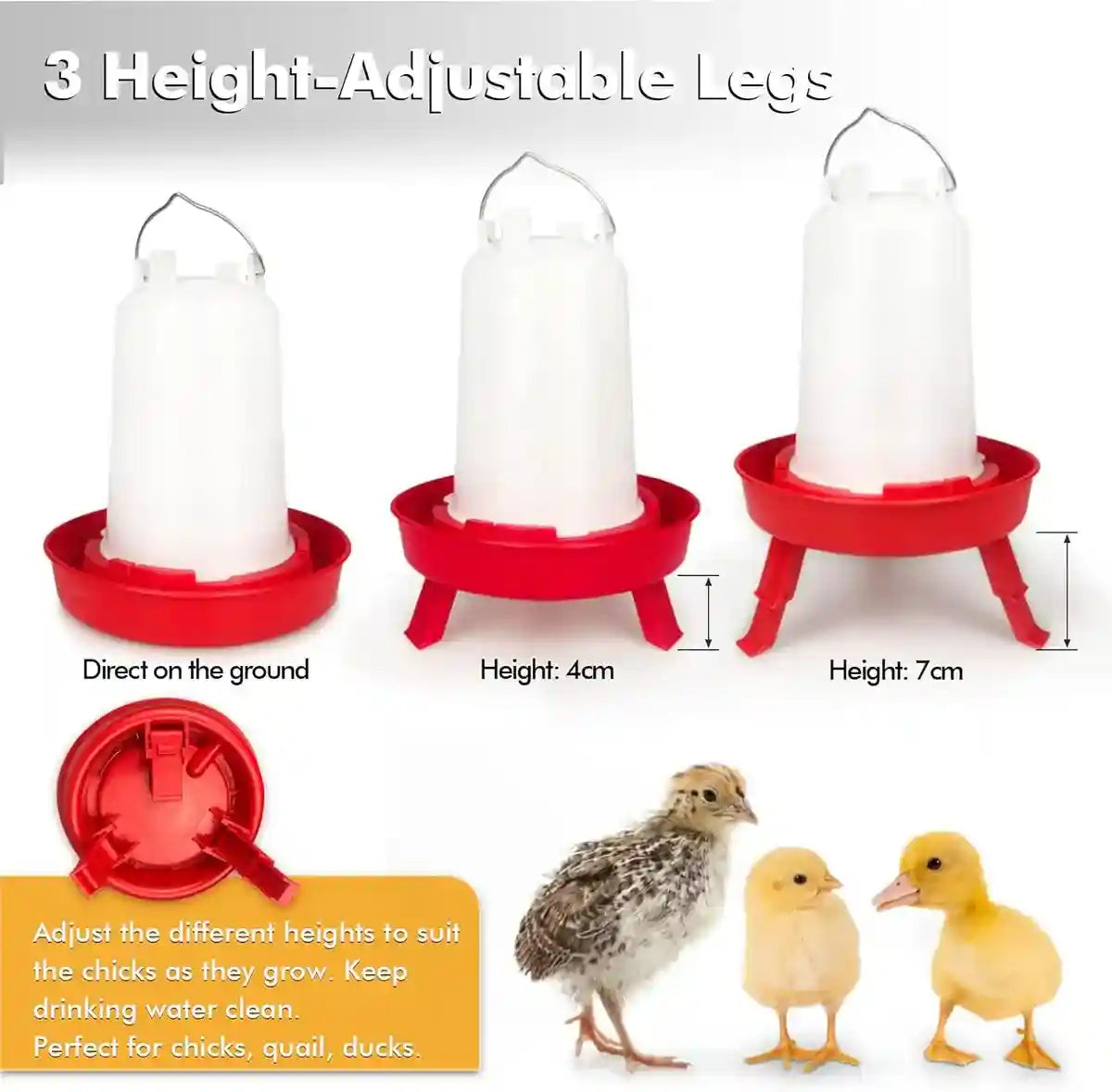 Space-Saving Chick Waterer Set with Adjustable Poultry Feeder