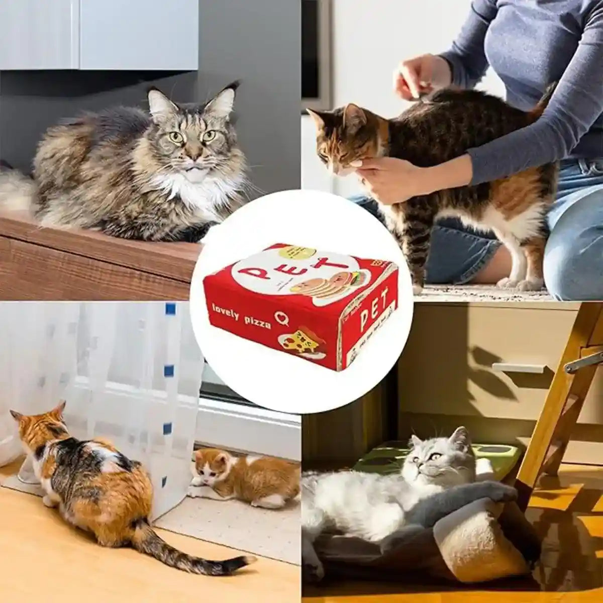 Snack-Themed Plush Cat Bed Cozy Rectangular Pet Sleeping Nest