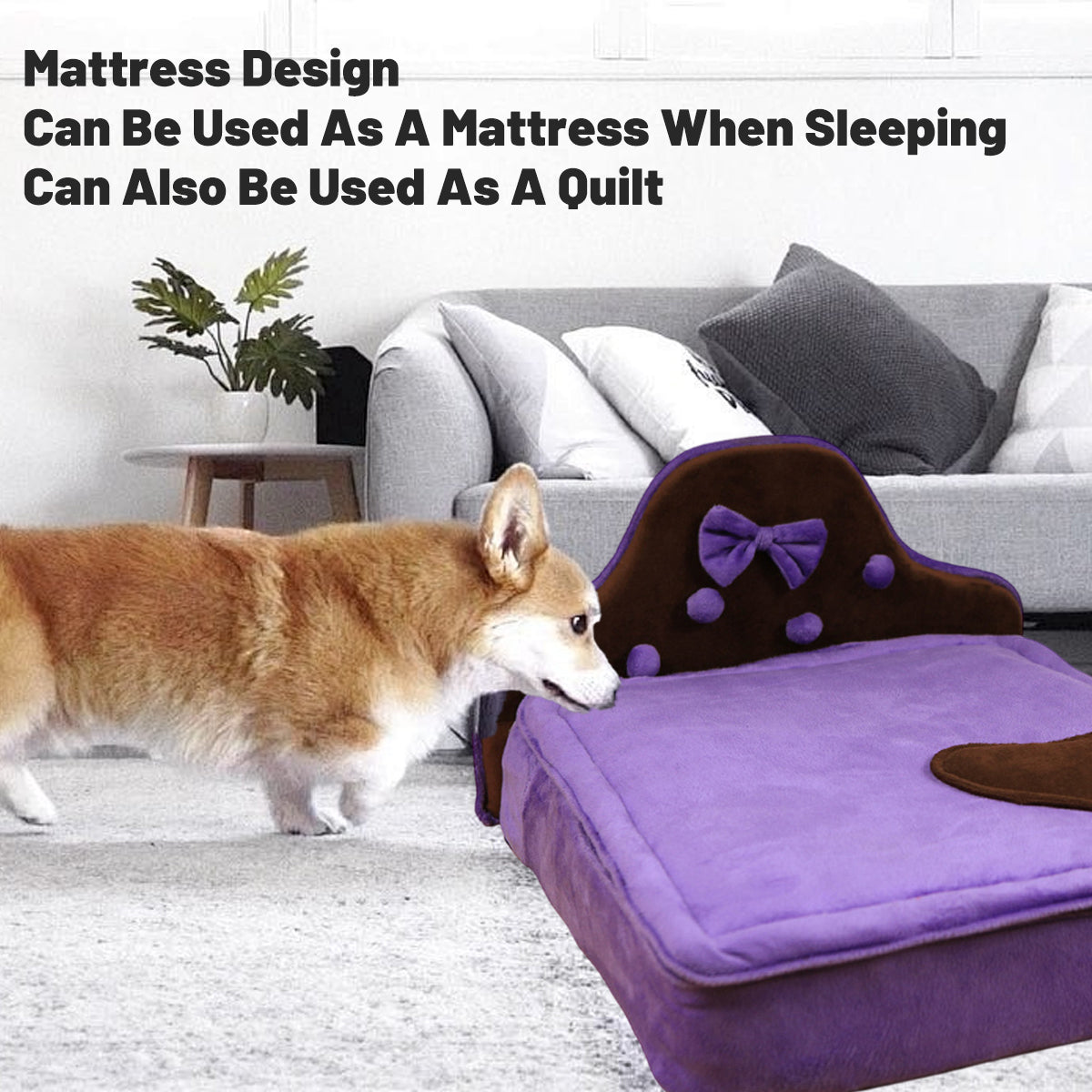 Plush Pet Bed Sofa With Removable Cushion