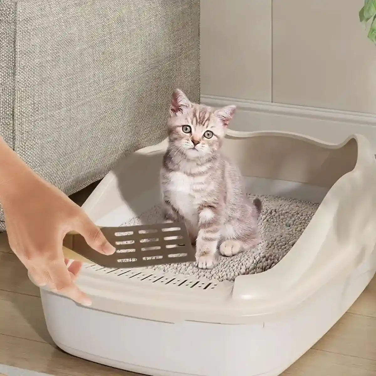 20PCS Disposable Cat Litter Scoops Biodegradable Cardboard Design