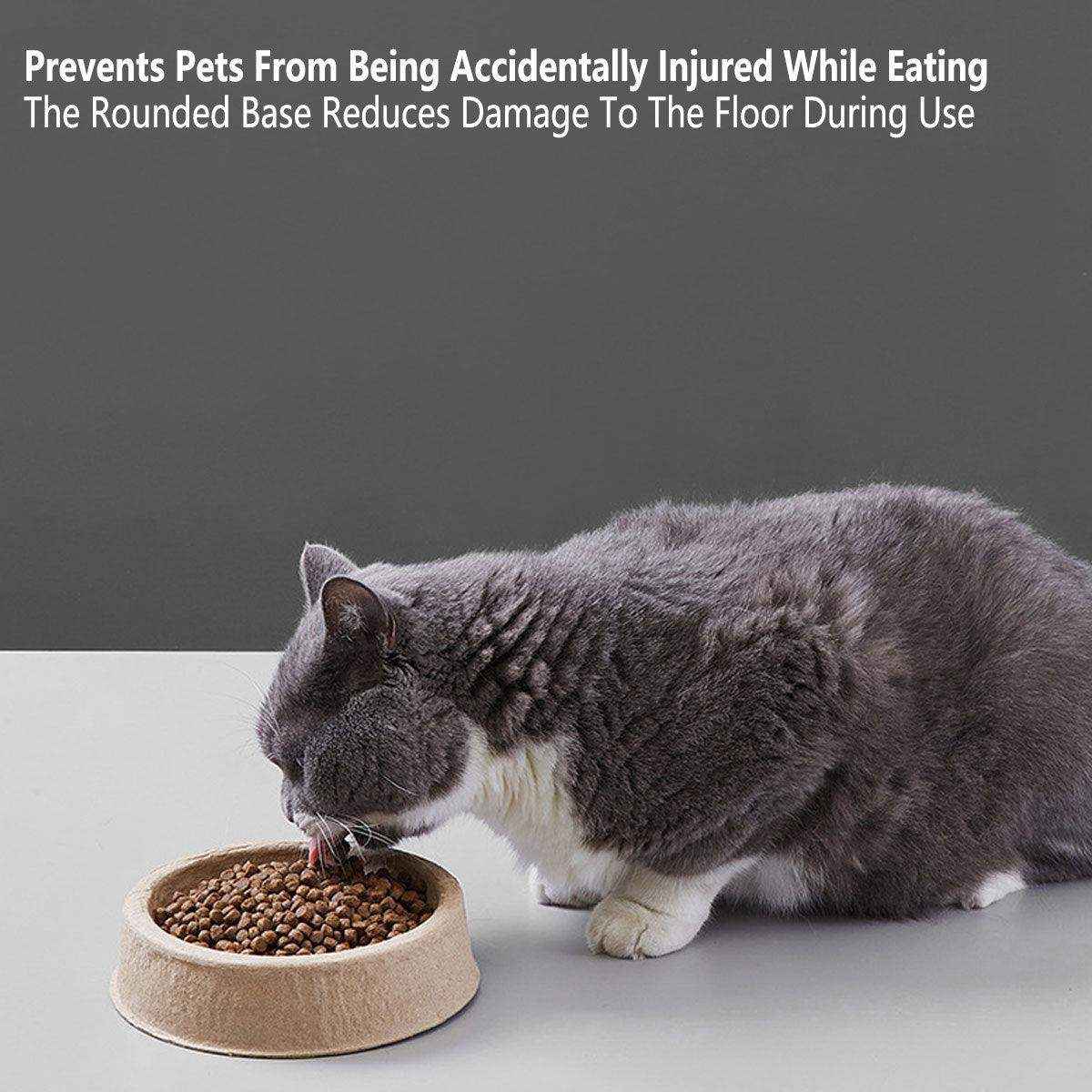 Eco-Friendly Cat Set with Disposable Litter Tray and Feeding Bowls