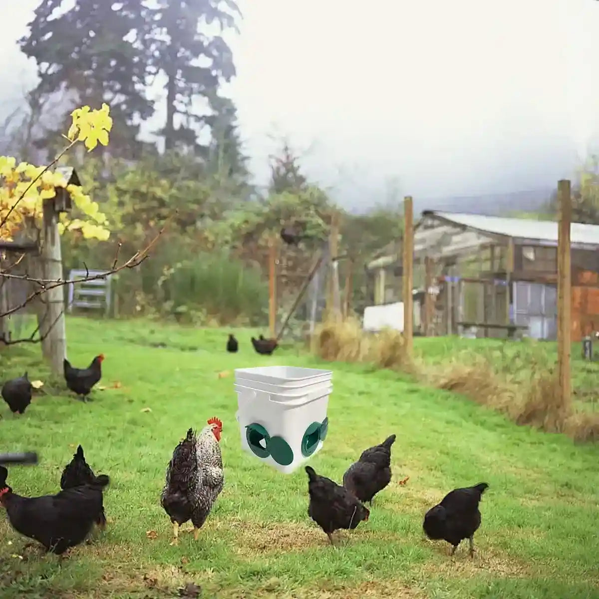 5PCS Automatic Chicken Feeder Ports with Rain Hood for Poultry DIY