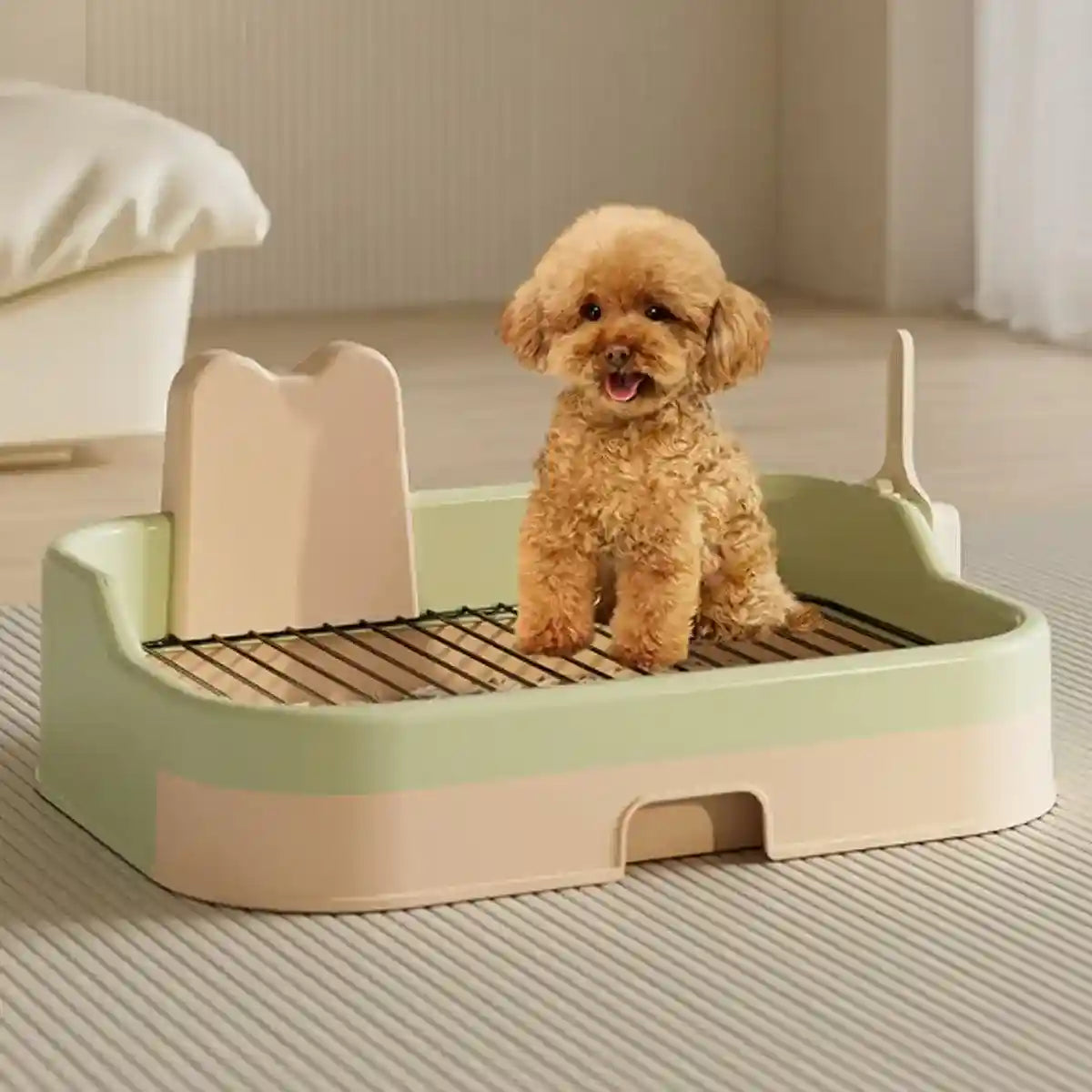 Oversized Dog Toilet for Large Dogs Easy Clean Drawer System & Anti-Splash