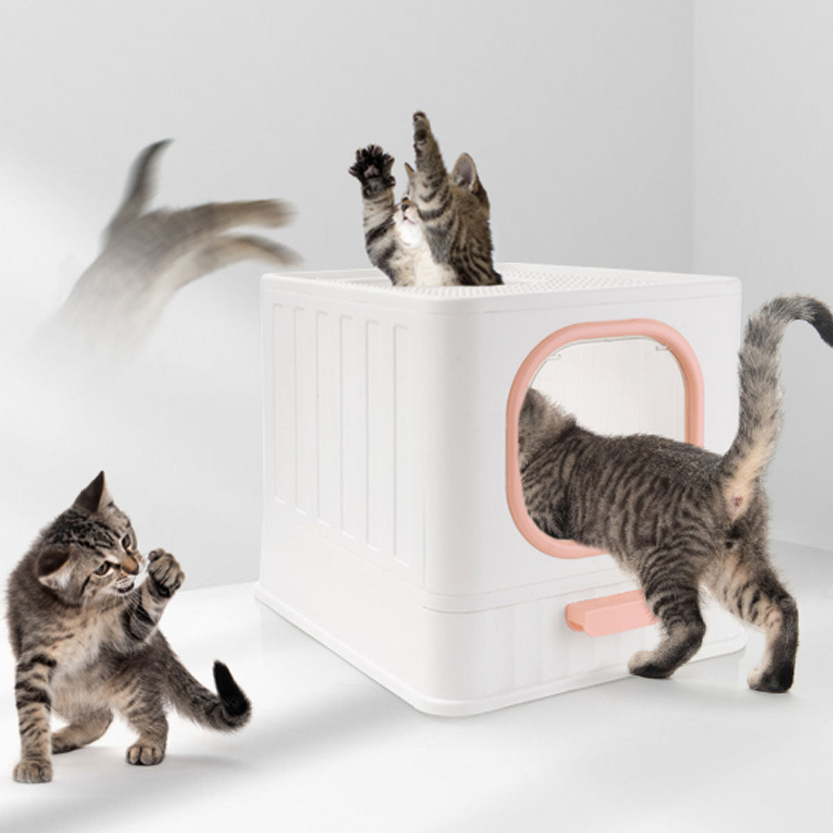 Enclosed Cat Litter Box With Pull-Out Tray