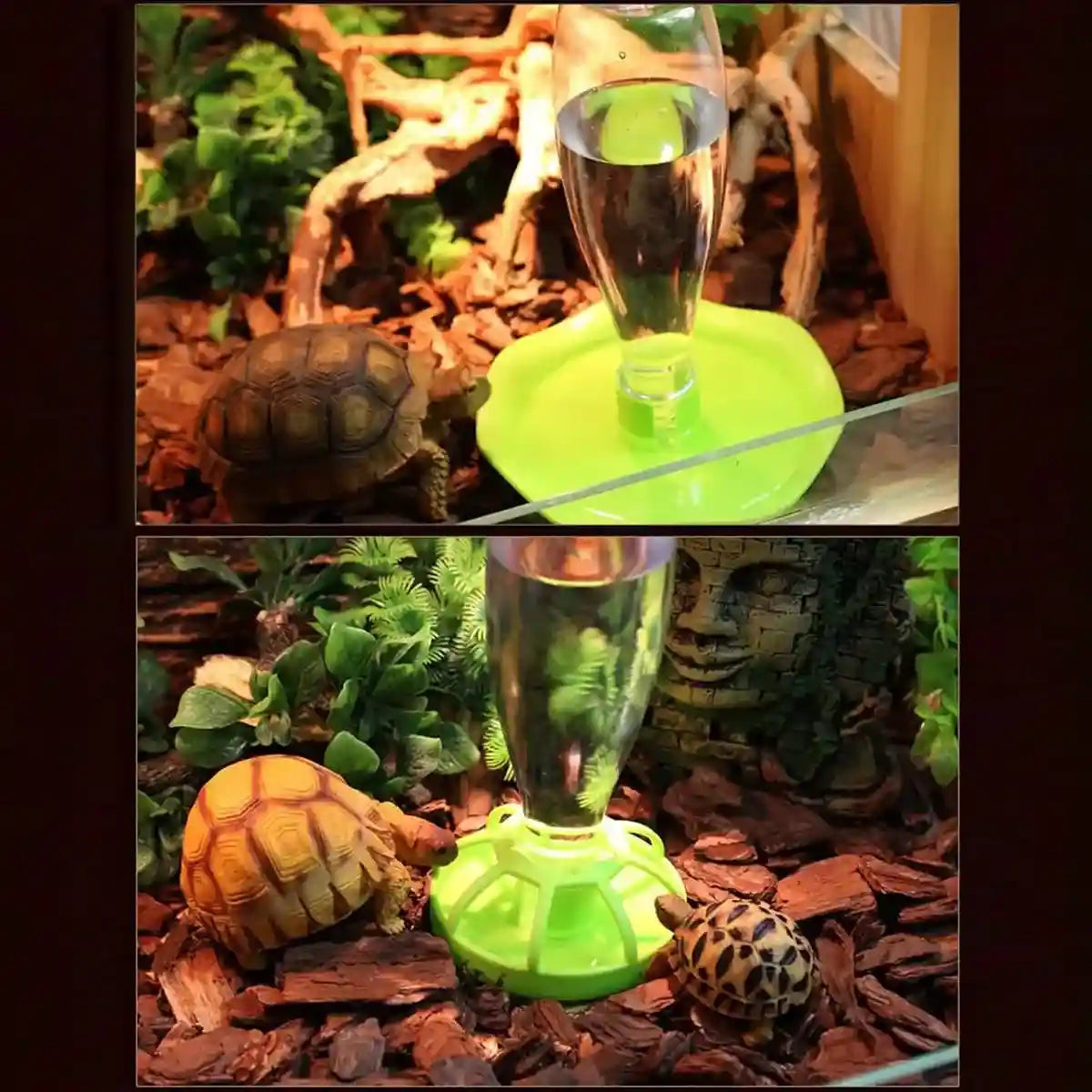 Automatic Turtle Feeder Water Dispenser for Small Pets