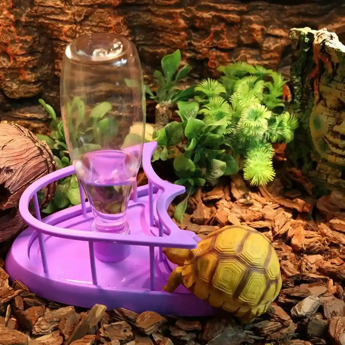 Automatic Turtle Feeder Water Dispenser for Small Pets