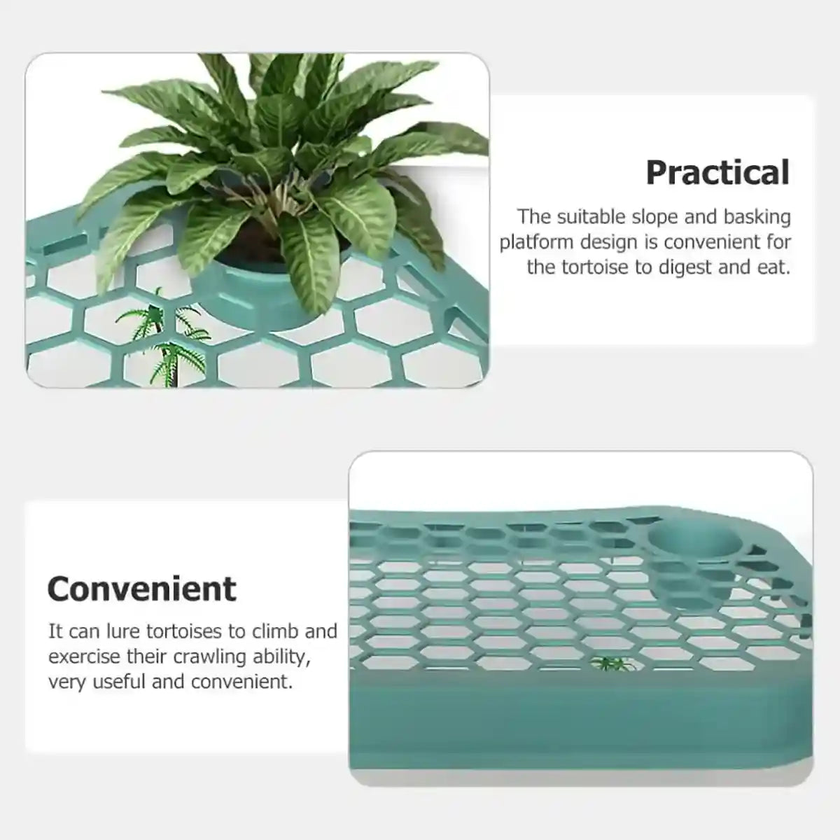 Breathable Turtle Tank Habitat with Basking Platform for Small Turtles