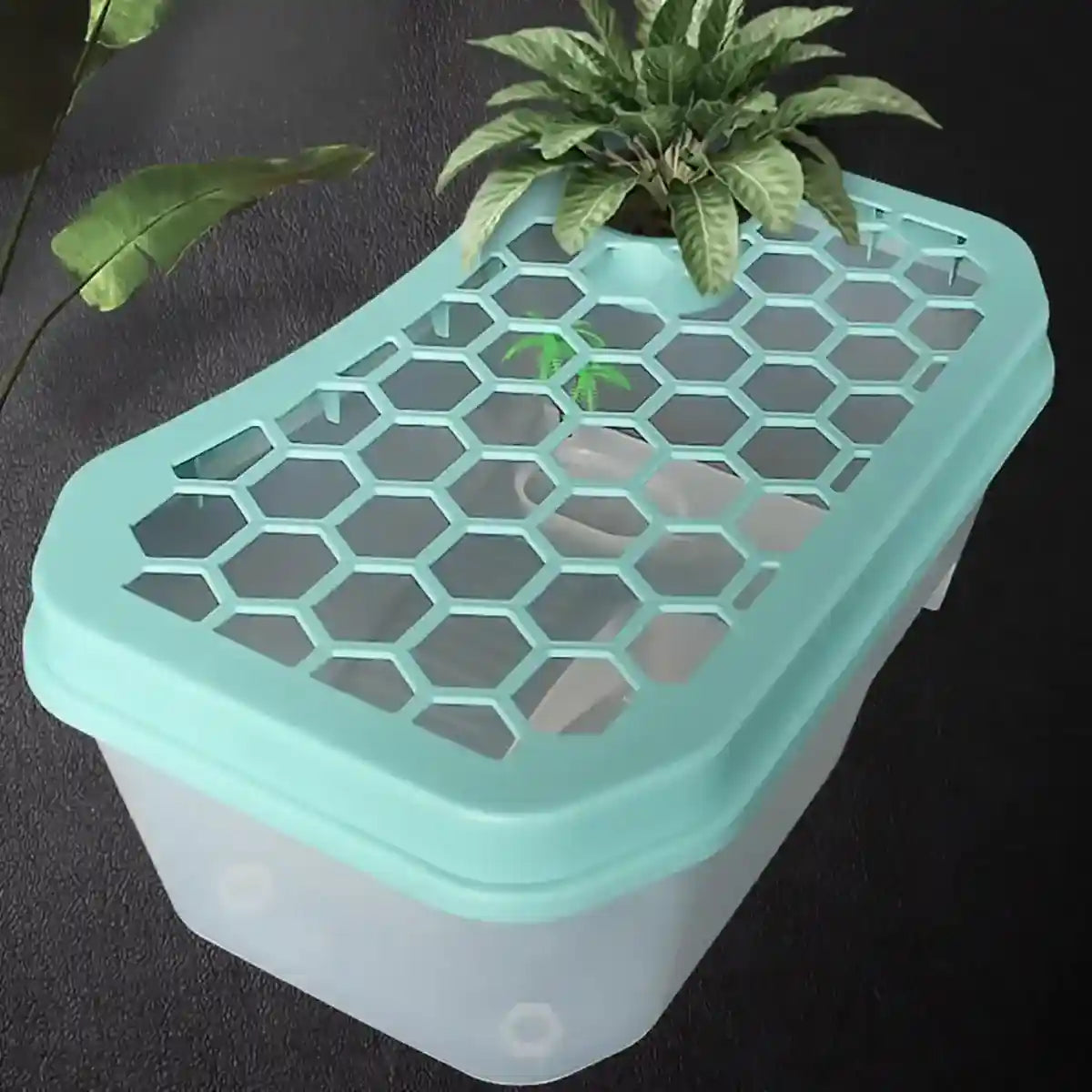 Breathable Turtle Tank Habitat with Basking Platform for Small Turtles