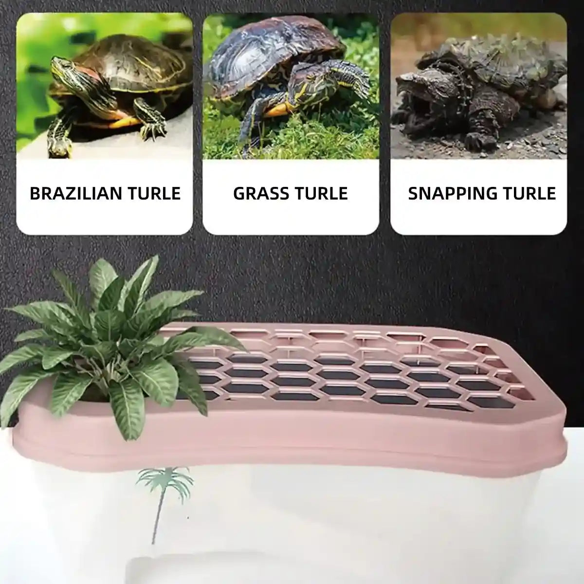 Breathable Turtle Tank Habitat with Basking Platform for Small Turtles
