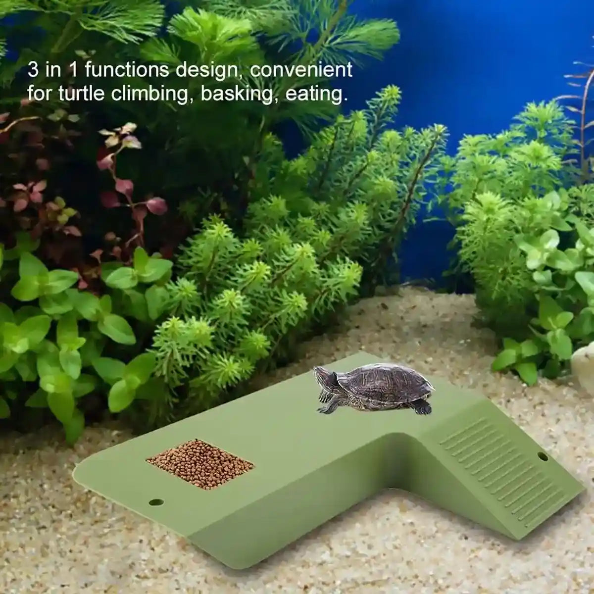 Turtle Basking Platform with Ramp and Suction Cups
