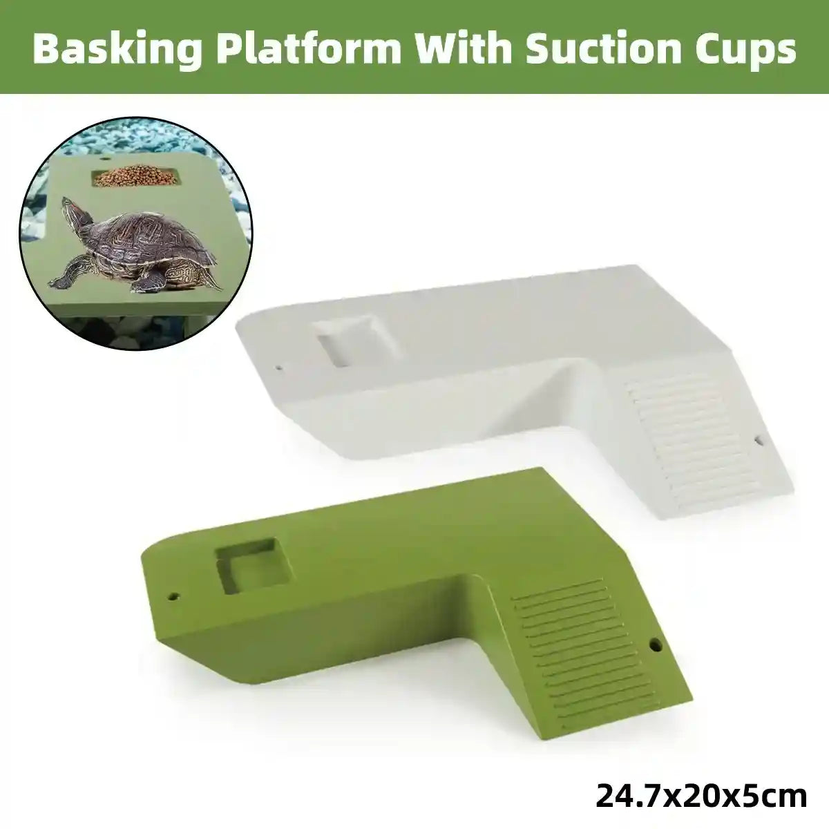 Turtle Basking Platform with Ramp and Suction Cups