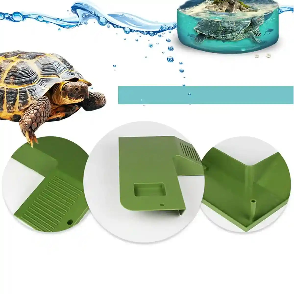 Turtle Basking Platform with Ramp and Suction Cups