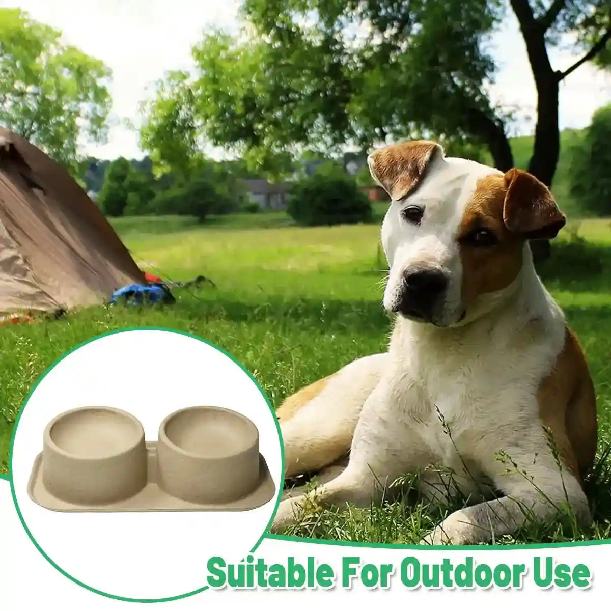 10PCS Disposable Pet Double Bowl Set Biodegradable with Tilt Design