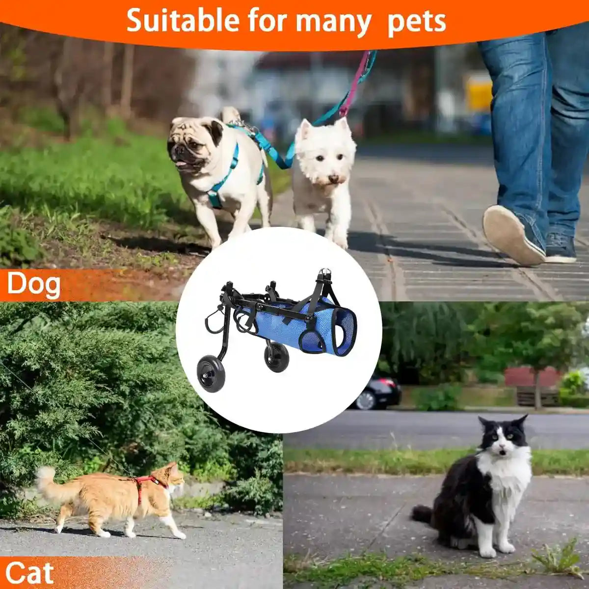 Adjustable Pet Wheelchair for Disabled Dogs and Cats (5.5–10kg)