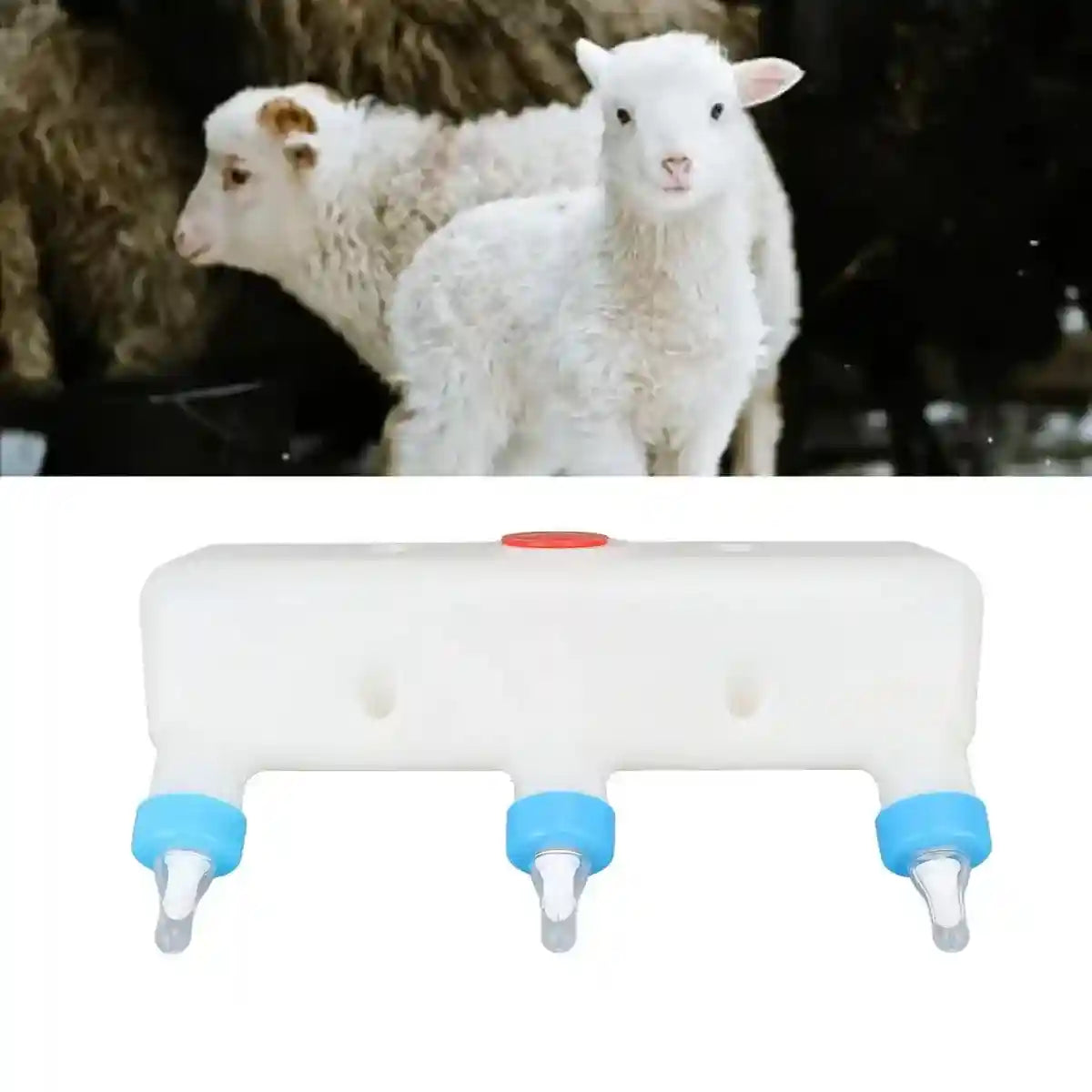 Triple Nipple Lamb Piglet Feeder 3-Teat Nursing Bottle 1.5L